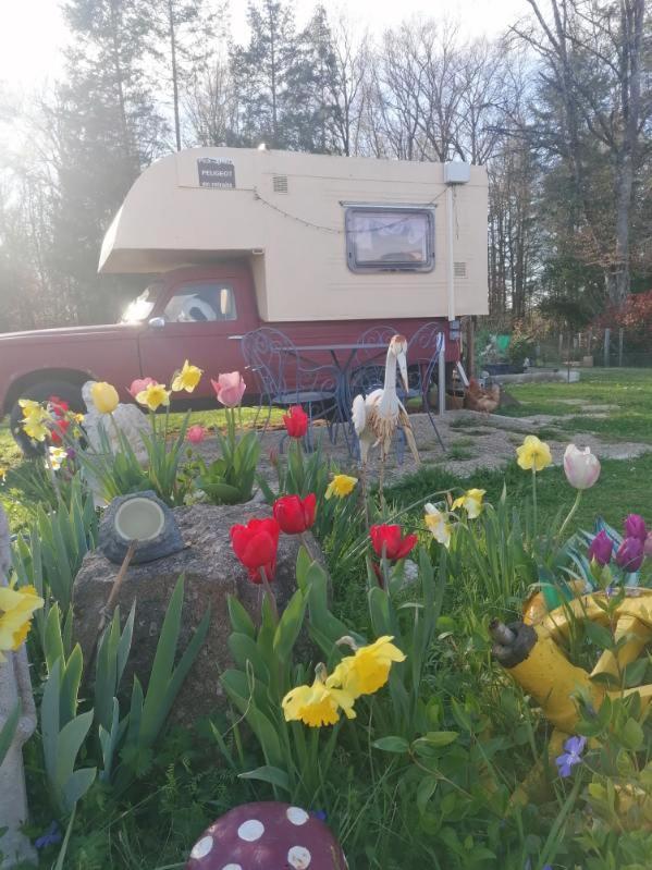 Le Pick Up 403 Vintage Hotel Oradour-sur-Glane Ngoại thất bức ảnh